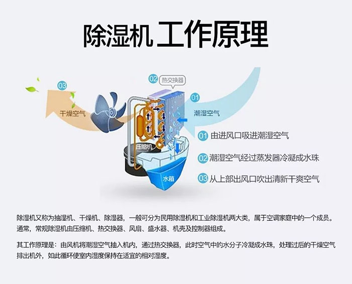 對抗梅雨天，絕不認輸！