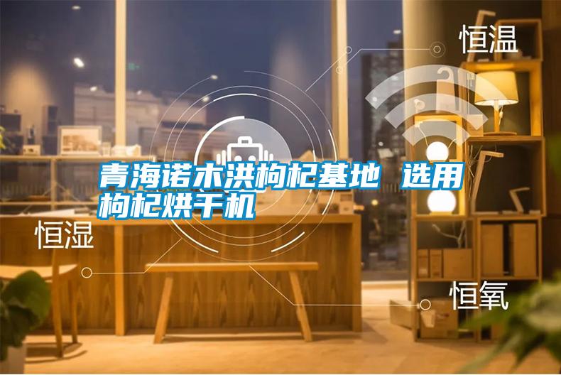 青海諾木洪枸杞基地 選用枸杞烘干機