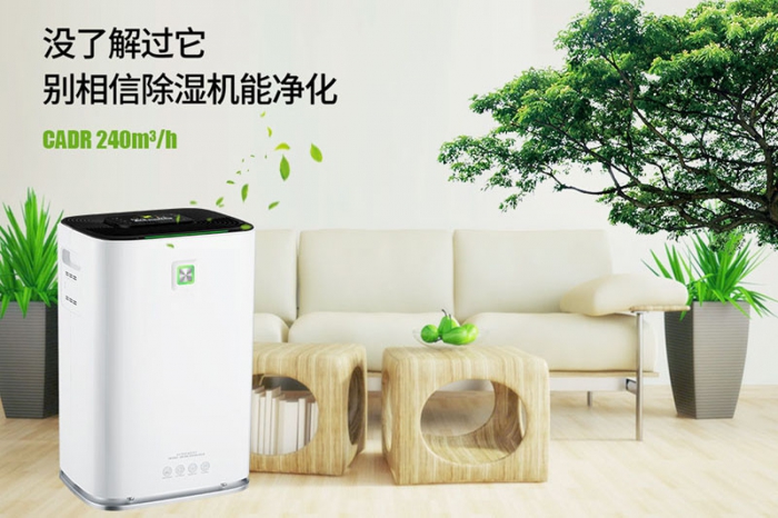 一到回南天狗狗就感冒+皮膚病，怎么辦？