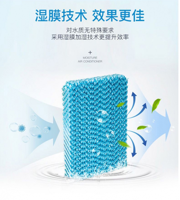 潮濕季，食材／貴重物品該防潮防霉防蟲，你不知道的秘密！