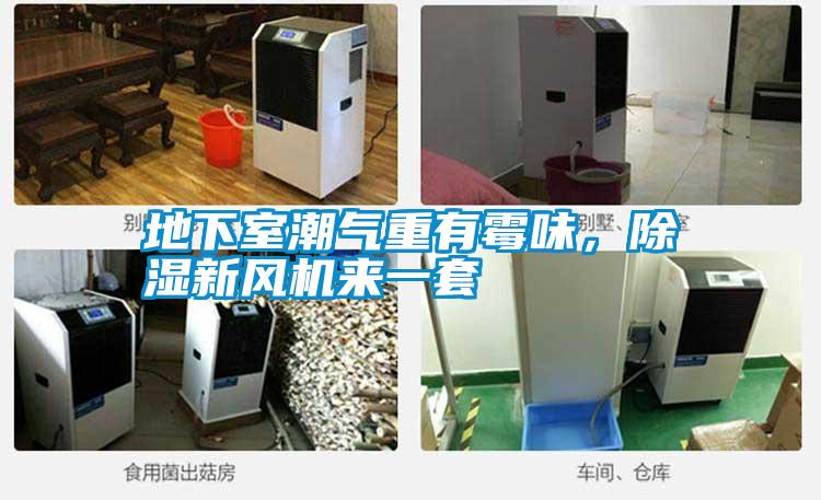 地下室潮氣重有霉味，除濕新風(fēng)機(jī)來一套