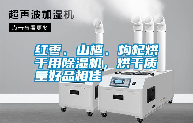 紅棗、山楂、枸杞烘干用除濕機(jī)，烘干質(zhì)量好品相佳