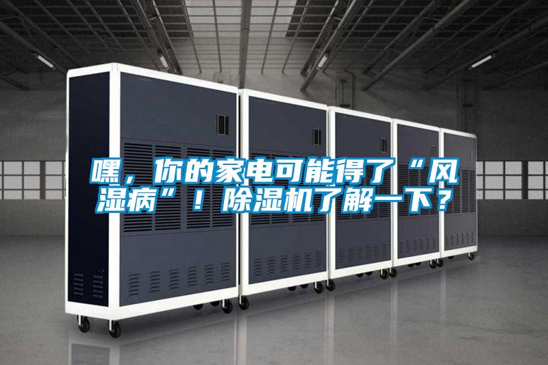 嘿，你的家電可能得了“風(fēng)濕病”！除濕機(jī)了解一下？