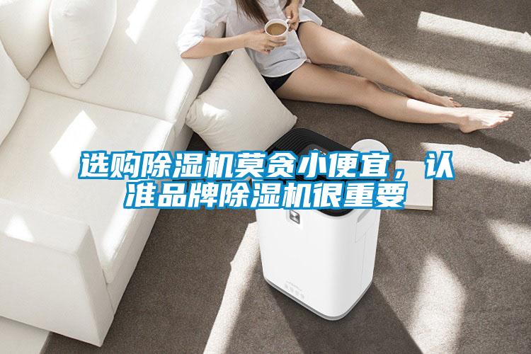 選購除濕機莫貪小便宜，認準(zhǔn)品牌除濕機很重要