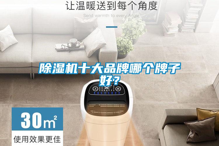 除濕機十大品牌哪個牌子好？