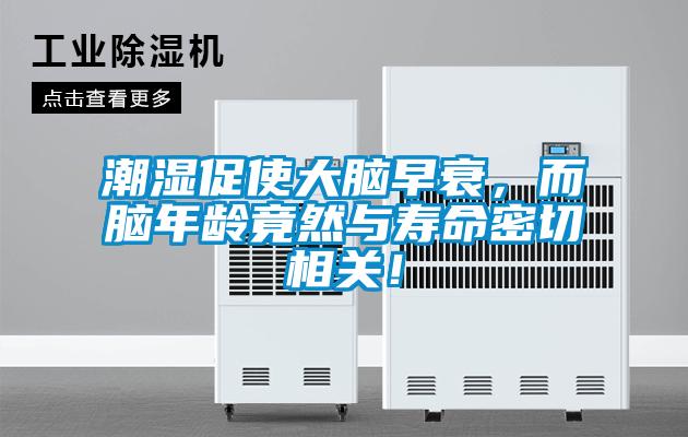 潮濕促使大腦早衰，而腦年齡竟然與壽命密切相關(guān)！