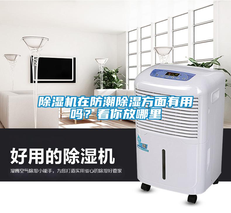 除濕機(jī)在防潮除濕方面有用嗎？看你放哪里