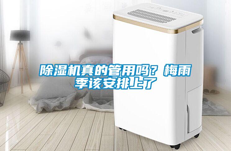 除濕機真的管用嗎？梅雨季該安排上了
