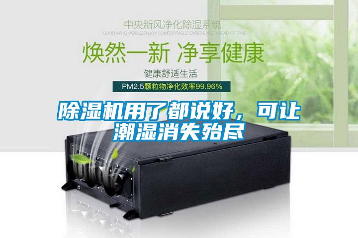 除濕機(jī)用了都說好，可讓潮濕消失殆盡