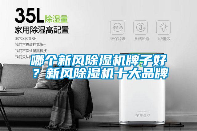 哪個(gè)新風(fēng)除濕機(jī)牌子好？新風(fēng)除濕機(jī)十大品牌