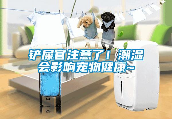 鏟屎官注意了！潮濕會影響寵物健康~