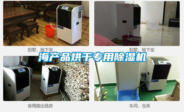 海產(chǎn)品烘干專用除濕機