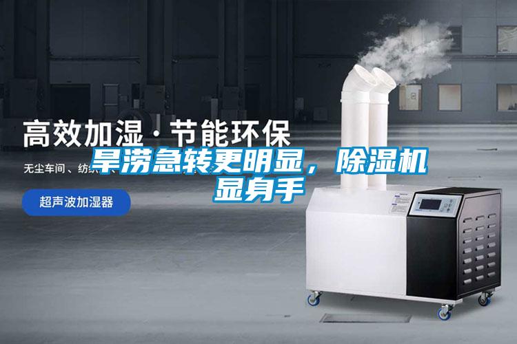 旱澇急轉(zhuǎn)更明顯，除濕機(jī)顯身手