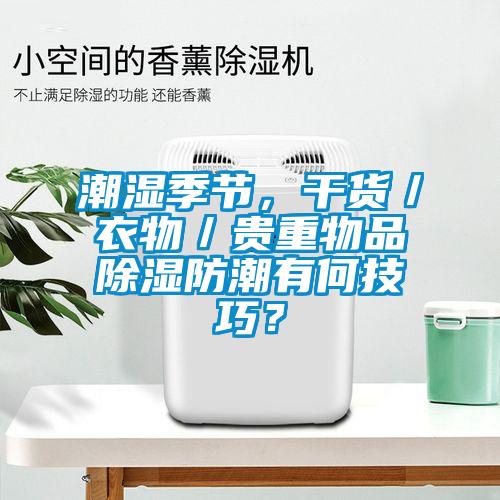 潮濕季節(jié)，干貨／衣物／貴重物品除濕防潮有何技巧？