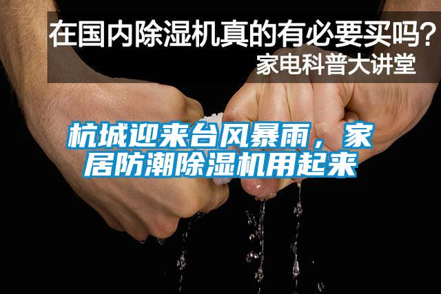 杭城迎來(lái)臺(tái)風(fēng)暴雨，家居防潮除濕機(jī)用起來(lái)