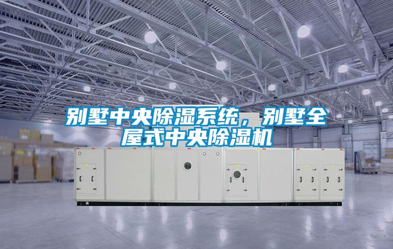 別墅中央除濕系統(tǒng)，別墅全屋式中央除濕機