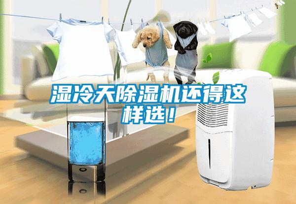 濕冷天除濕機還得這樣選！