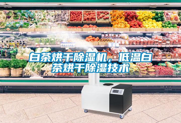 白茶烘干除濕機(jī)，低溫白茶烘干除濕技術(shù)