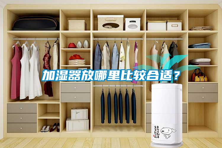 加濕器放哪里比較合適？