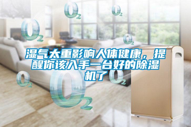 濕氣太重影響人體健康，提醒你該入手一臺(tái)好的除濕機(jī)了