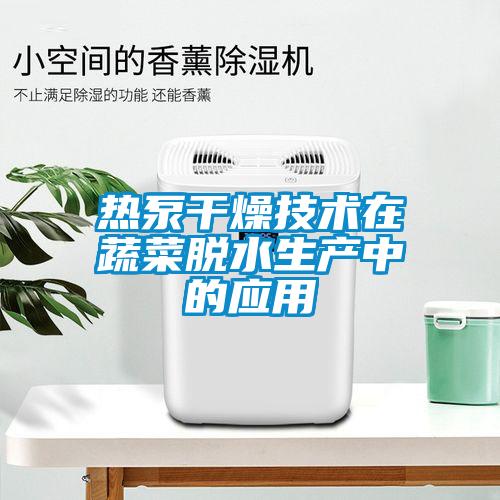 熱泵干燥技術(shù)在蔬菜脫水生產(chǎn)中的應用