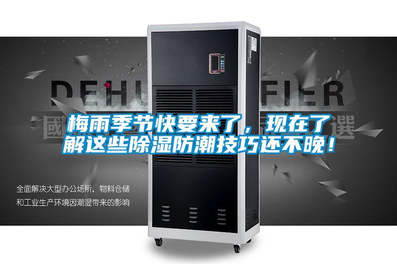 梅雨季節(jié)快要來了，現(xiàn)在了解這些除濕防潮技巧還不晚！