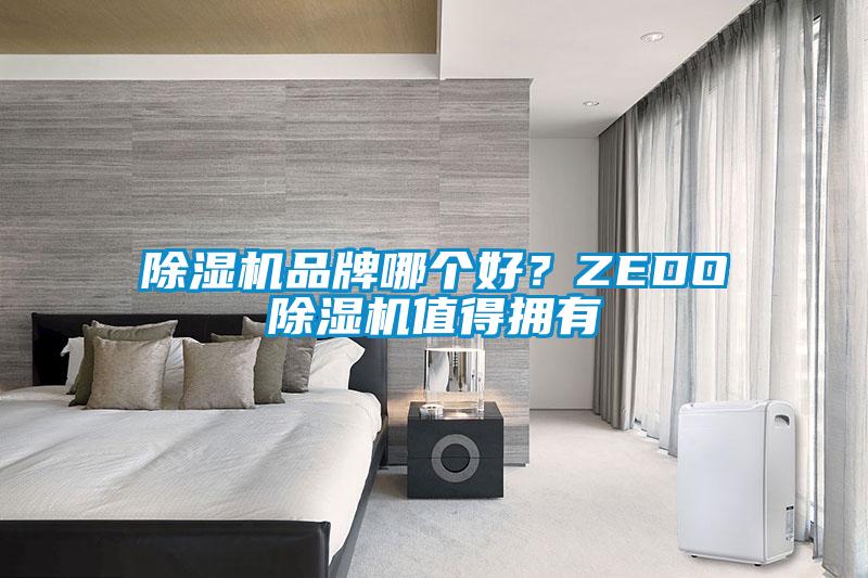 除濕機(jī)品牌哪個(gè)好？ZEDO除濕機(jī)值得擁有