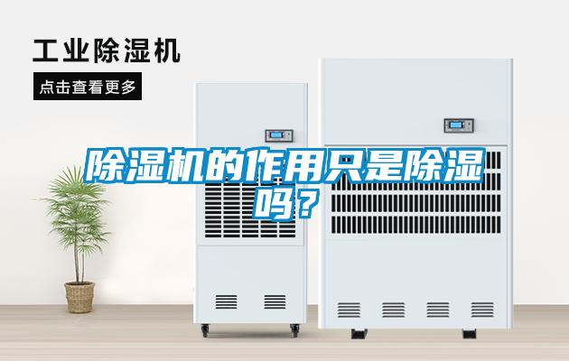 除濕機的作用只是除濕嗎？