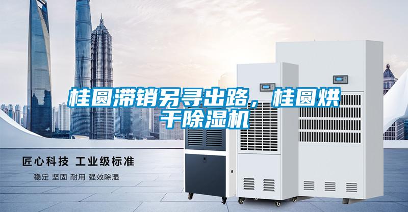 桂圓滯銷另尋出路，桂圓烘干除濕機