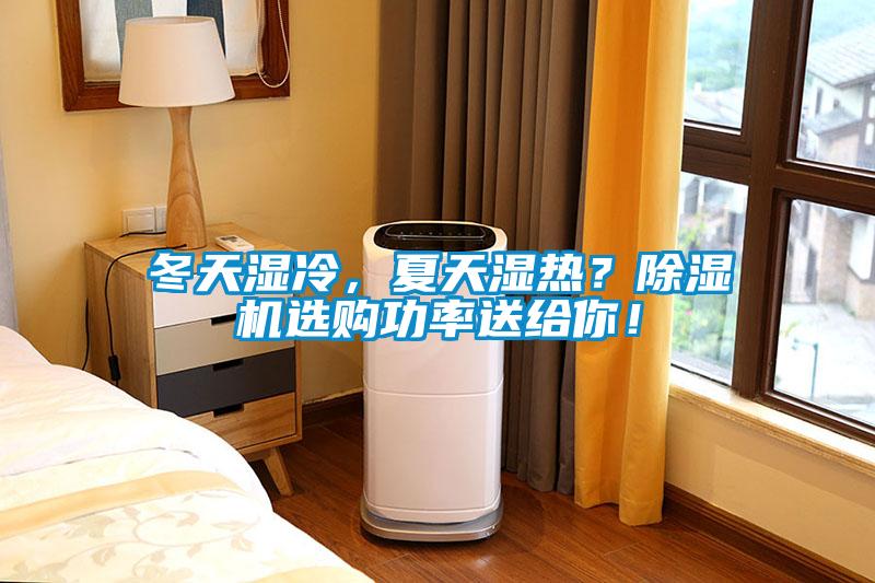 冬天濕冷，夏天濕熱？除濕機選購功率送給你！