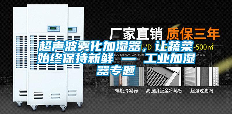 超聲波霧化加濕器，讓蔬菜始終保持新鮮 — 工業(yè)加濕器專題