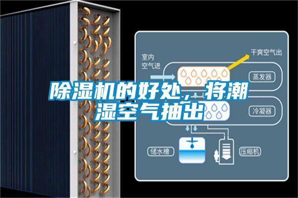 除濕機的好處，將潮濕空氣抽出