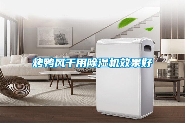 烤鴨風(fēng)干用除濕機效果好