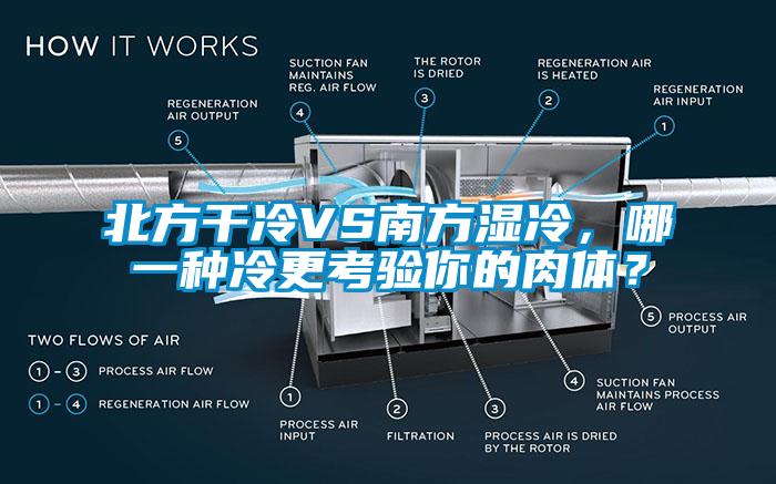 北方干冷VS南方濕冷，哪一種冷更考驗(yàn)?zāi)愕娜怏w？