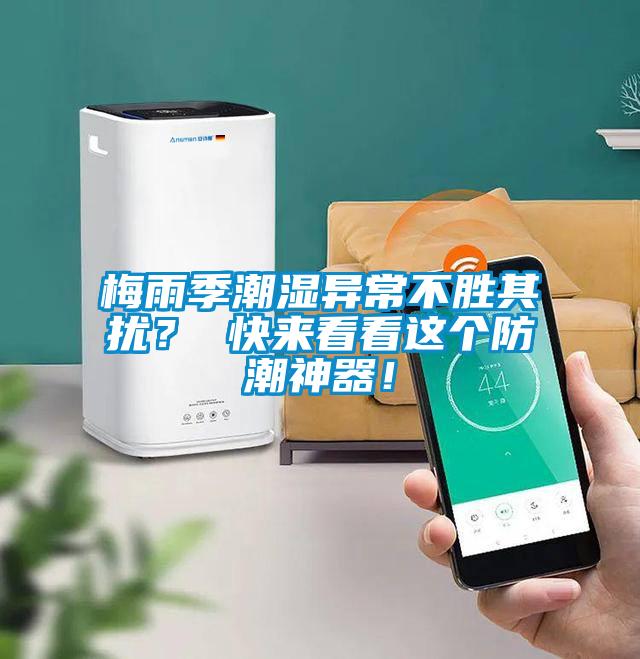 梅雨季潮濕異常不勝其擾？ 快來看看這個防潮神器！