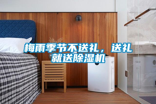 梅雨季節(jié)不送禮，送禮就送除濕機