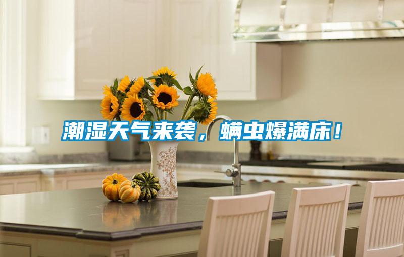 潮濕天氣來(lái)襲，螨蟲爆滿床！