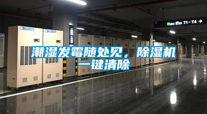 潮濕發(fā)霉隨處見，除濕機(jī)一鍵清除