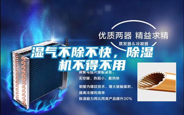 濕氣不除不快，除濕機(jī)不得不用