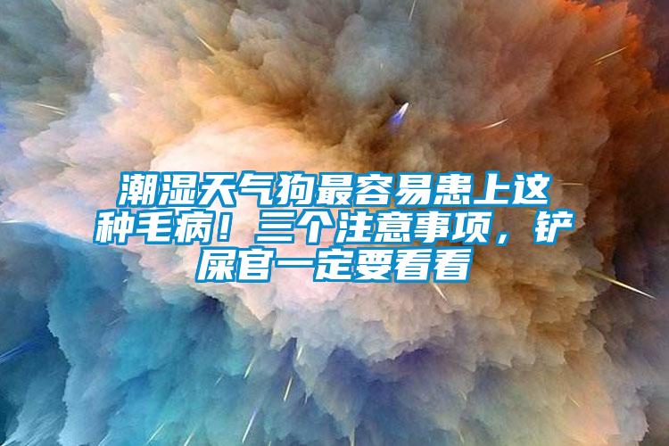 潮濕天氣狗最容易患上這種毛??！三個注意事項，鏟屎官一定要看看