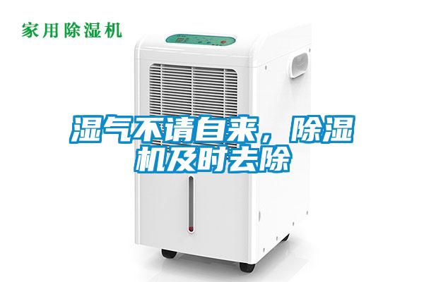 濕氣不請自來，除濕機及時去除