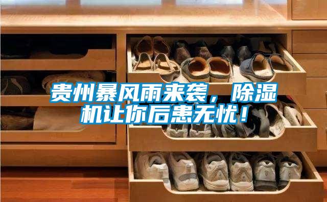 貴州暴風(fēng)雨來襲，除濕機(jī)讓你后患無憂！