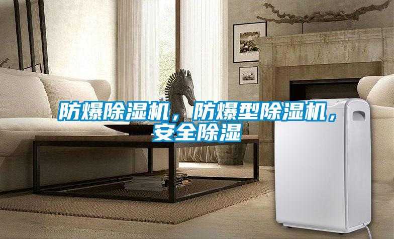 防爆除濕機(jī)，防爆型除濕機(jī)，安全除濕