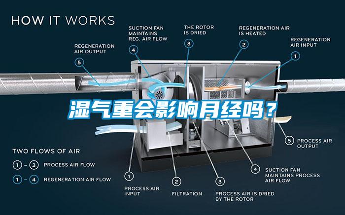 濕氣重會影響月經嗎？