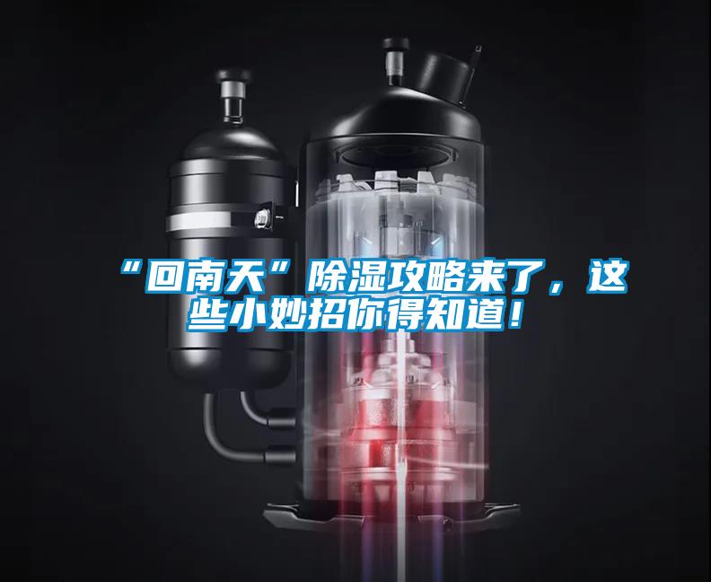 “回南天”除濕攻略來(lái)了，這些小妙招你得知道！
