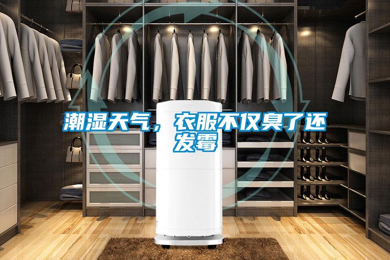 潮濕天氣，衣服不僅臭了還發(fā)霉