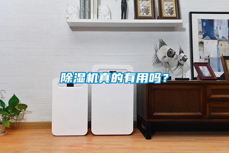 除濕機(jī)真的有用嗎？