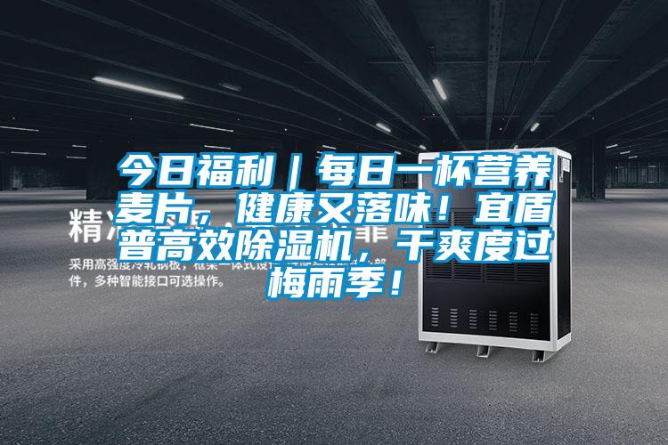 今日福利｜每日一杯營養(yǎng)麥片，健康又落味！宜盾普高效除濕機，干爽度過梅雨季！