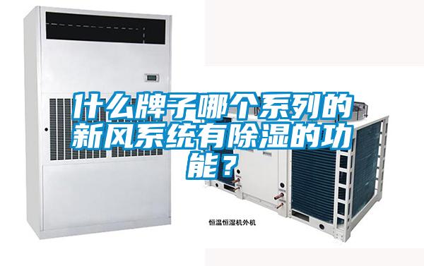 什么牌子哪個系列的新風系統(tǒng)有除濕的功能？