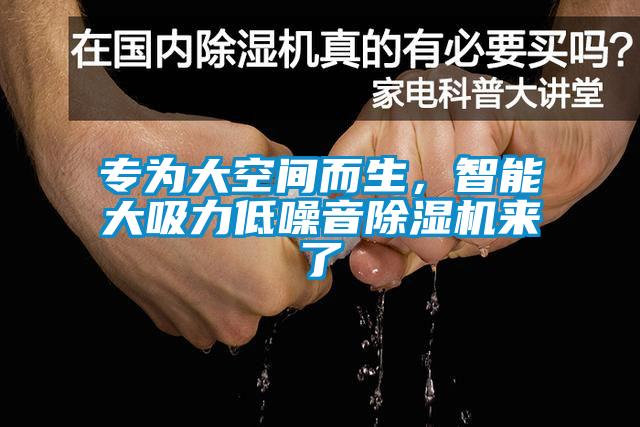 專為大空間而生，智能大吸力低噪音除濕機來了